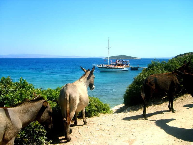 Izmir: Cesme Boat Tour and Alacati Visit - Key things to know before you go