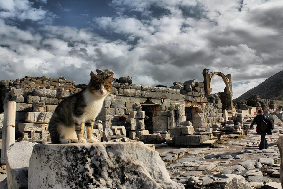 Izmir : Ephesus and Sirince Guided Tour - How this 12-hour Izmir day trip actually flows
