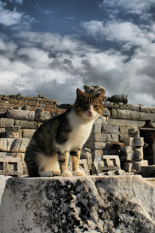 Izmir : Ephesus and Sirince Guided Tour - Virgin Mary House in Selçuk: Wish Wall and Sacred Fountain