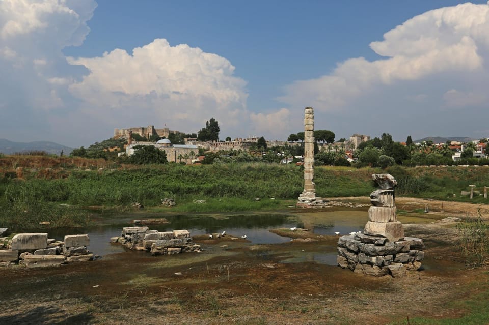 Izmir: Ephesus Private Tour for Cruise Guests - From İzmir Port to the Sites: a cruise-day plan that actually fits