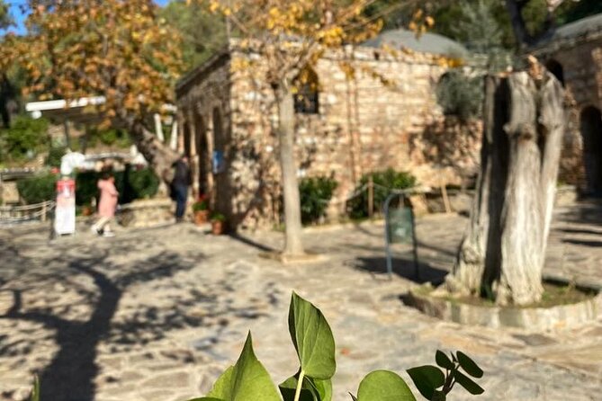 Izmir to Private Ephesus - Artemission Temple-Mother Mary's House - The drive back and the peace of on-time service
