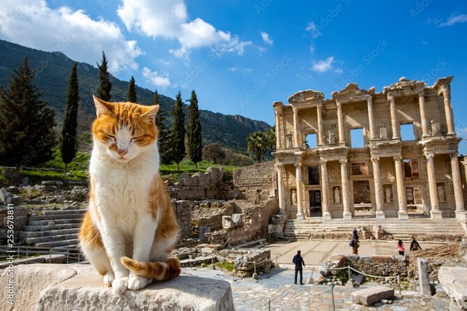 Journey to Ancient Wonders: Explore Ephesus with a Private Tour - Price and value: what $149 buys you (and what you still pay)