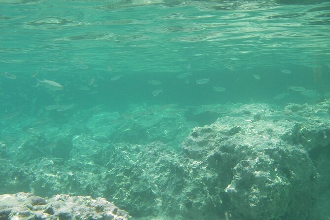 Kekova Private Full-Day Boat Trip - Pirate Cave on Aşırlı Island: short stop, fun photos