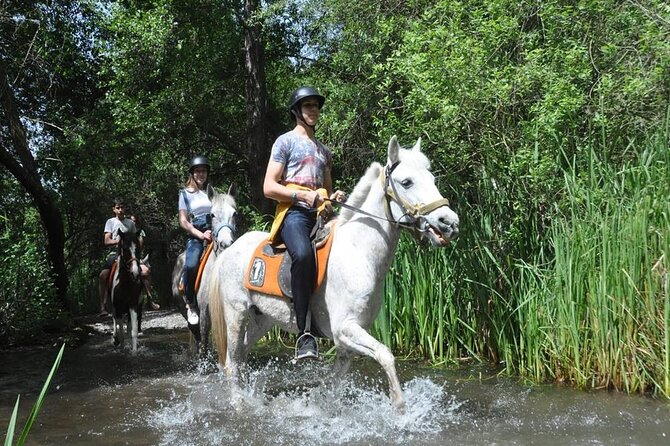 Kemer Horse Safari Experience With Free Hotel Transfer - One Hour in the Saddle: What the Ride Feels Like