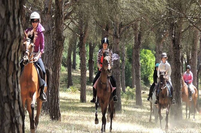 Kemer Horse Safari Experience With Free Hotel Transfer - Price and Value: Does $60 Make Sense?