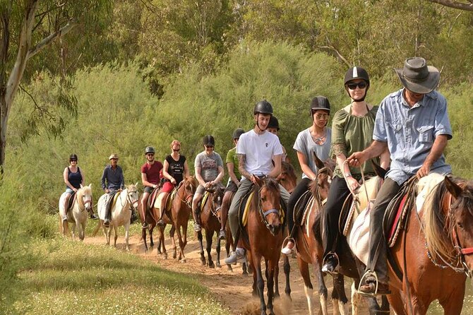 Kemer Horse Safari Experience With Free Hotel Transfer - Practical Packing Tips for a Comfortable Ride