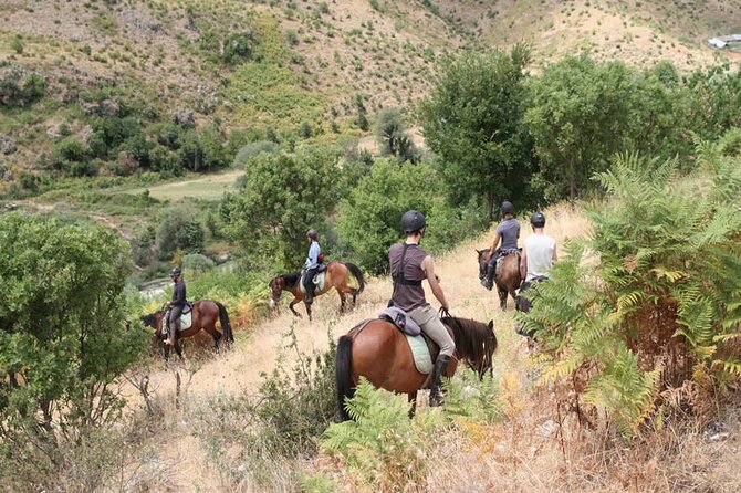Kemer Horse Safari Experience With Free Hotel Transfer - Ranch Briefing: The Safety and Riding Basics That Matter