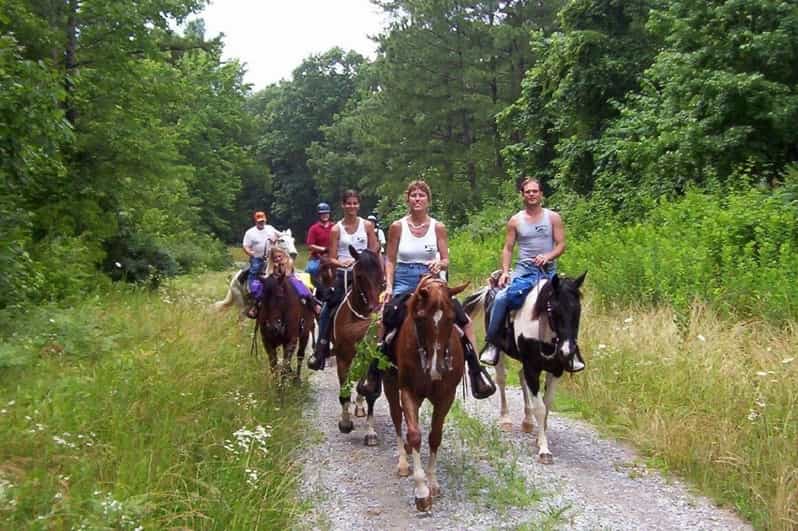 Kemer Horse Safari, pick up from Kiris, Beldibi, Goynuk - Entering the ride: your beginner lesson and basic horse commands