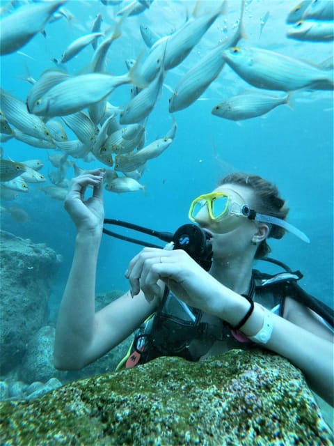 Kemer: Scuba Diving Experience in Aquarium and Kiris Bays - Two underwater sessions in Kemer: 5 m, then 10–15 m