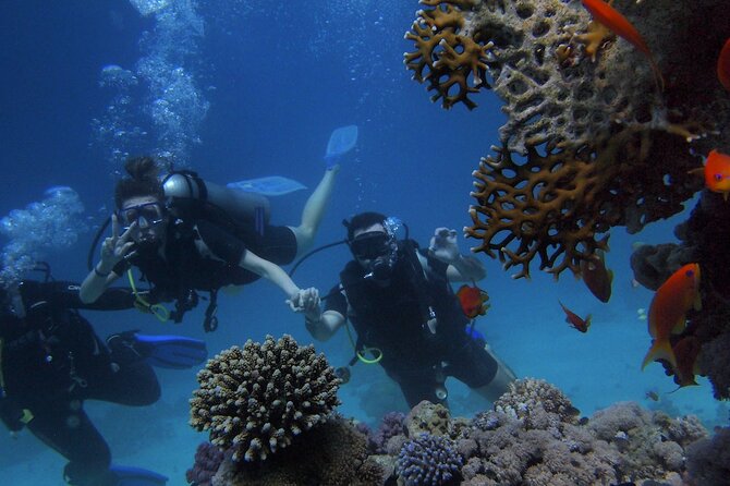 Kemer Scuba Diving Experience: Two Dives with Lunch - Two Underwater Sessions With a Lunch Break That Actually Helps