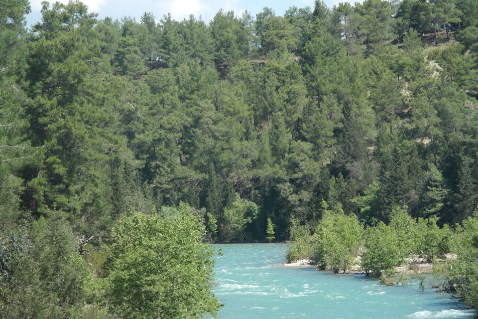 Koprulu Canyon: River Kayaking Experience with Lunch - The river day: what paddling feels like and where lunch fits in
