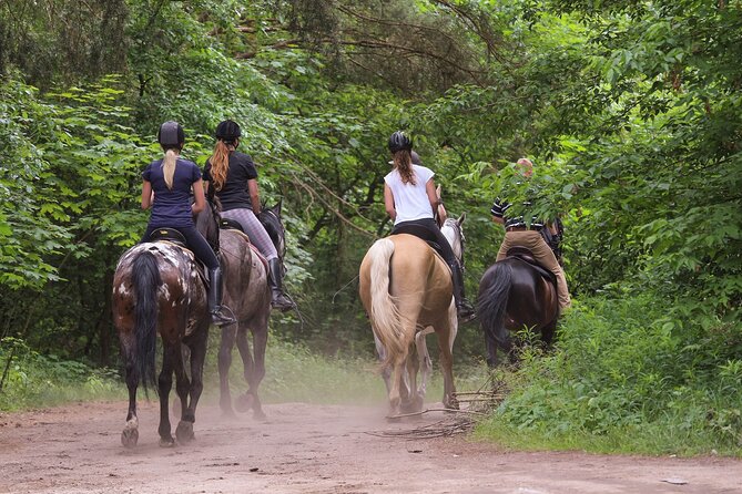 Kusadasi Horse Riding Beach and Forest options with Transfer - Key Highlights You’ll Actually Care About