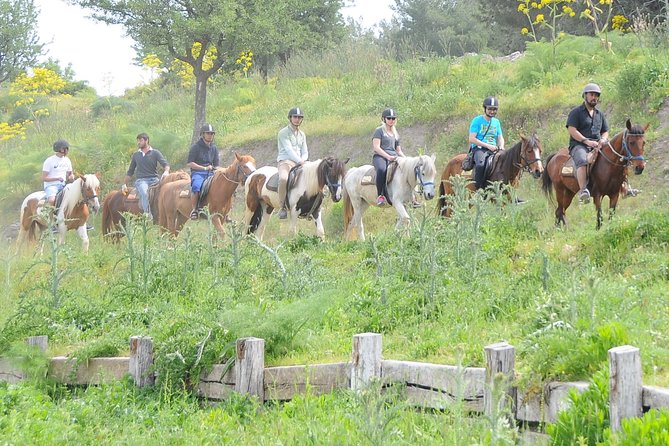 Kusadasi Horse Riding Beach and Forest options with Transfer - Kusadasi Horse Riding: Forest-to-Sea Views in About Two Hours