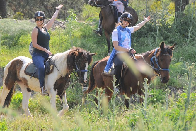 Kusadasi Horse Riding Beach and Forest options with Transfer - On Horseback Through Pines and Coast: What the Ride Feels Like