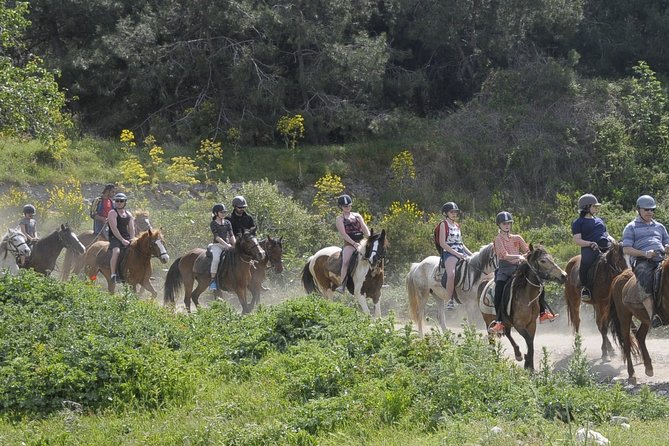 Kusadasi Horse Riding Beach and Forest options with Transfer - Weather Reality Check and How to Plan Around It