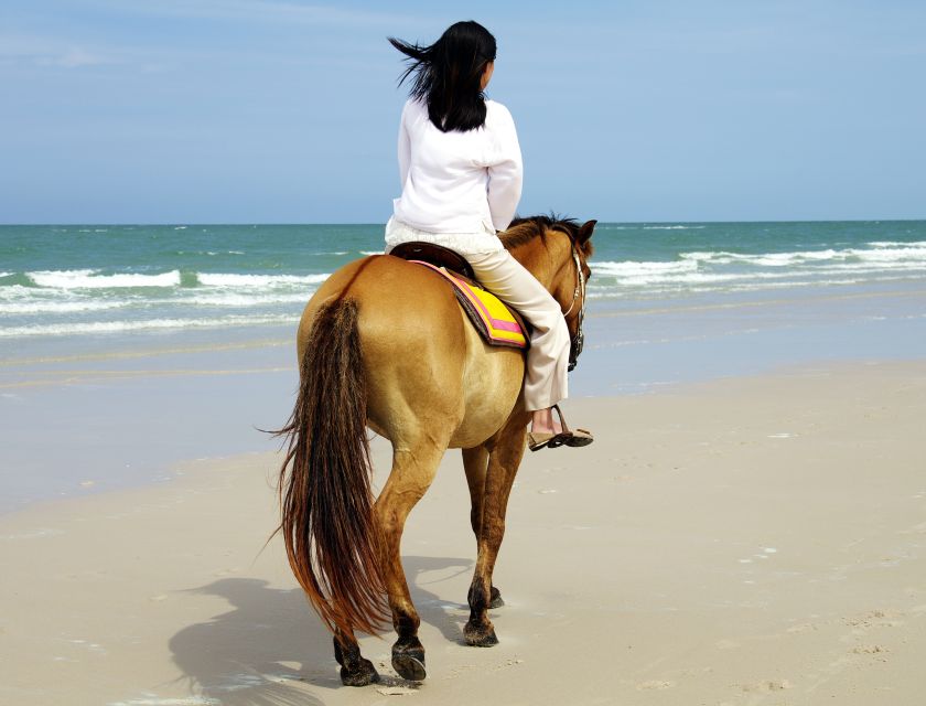 Kusadasi: Horse Riding Beach and Forest w/Transfer - Ranch welcome: helmets on, basics covered, then you’re moving