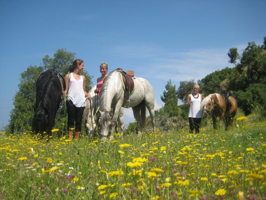 Kusadasi: Horse Riding Beach and Forest w/Transfer - Safety and comfort: the real make-or-break factor