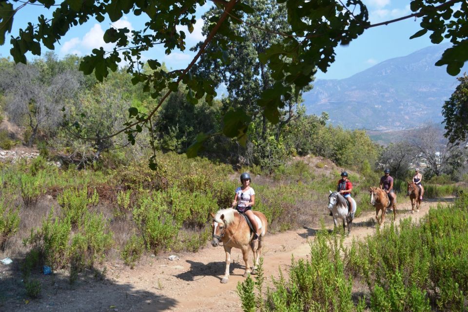 Kusadasi: Horse Riding Beach and Forest w/Transfer - Getting picked up in Kusadasi: the transfer is part of the value