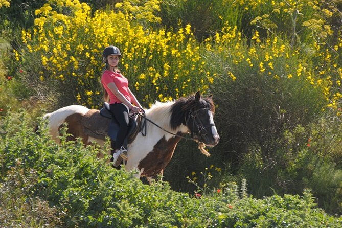 Kusadasi Horse Riding On Beach And Through The River - The Unspoiled Bay Finish: Scenery + a Chance to Cool Off