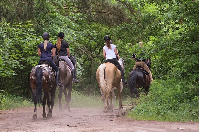 Kusadasi Horse Riding On Beach And Through The River - Transportation, Noise, and Safety: What to Watch Before You Go