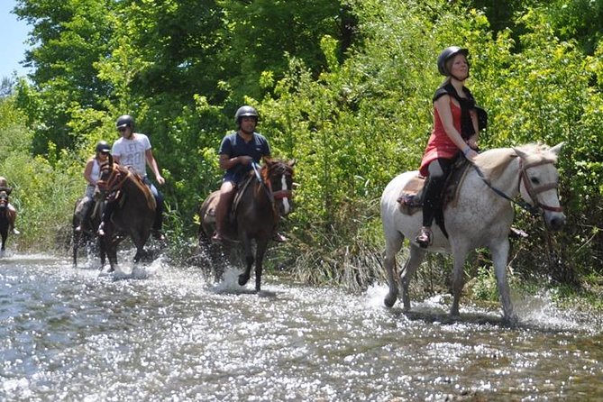 Kusadasi Horseback Riding - How The 3-Hour Horse Safari Works From Your Hotel