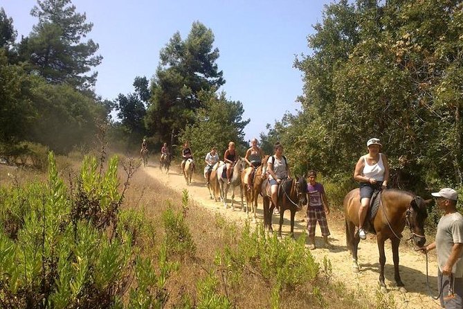 Kusadasi Horseback Riding - Who This Tour Fits Best (And Who Might Want Another Option)