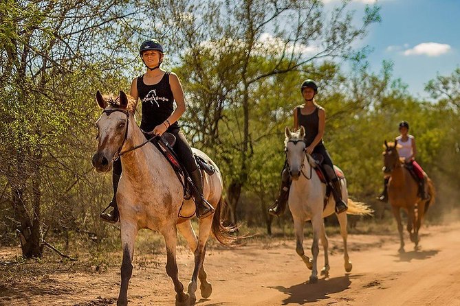 Kusadasi Horseback Riding - Should You Book Kusadasi Horseback Riding With Bergin Tours?