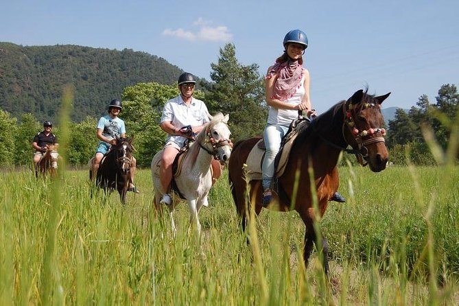 Kusadasi Horseback Riding - Bush-and-Tree Riding to the Shore: The Part You’ll Remember