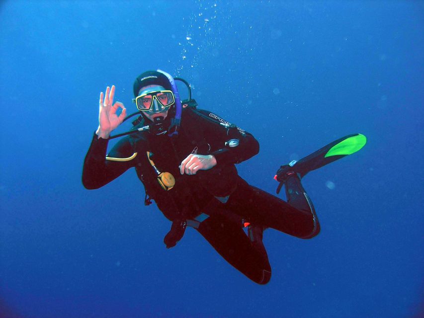 Kusadasi: Scuba Diving for Beginner or Experienced w/ Lunch - Your one underwater session (about 25 minutes) and what you’ll see