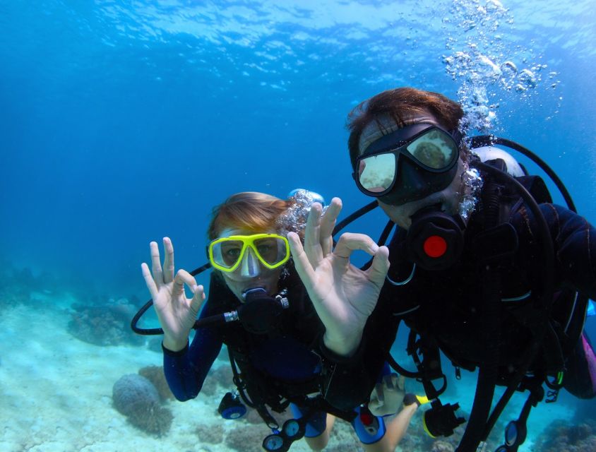 Kusadasi: Scuba Diving for Beginners w/Lunch & Transfer - Why Kusadasi’s Coast Works So Well for First-Timers