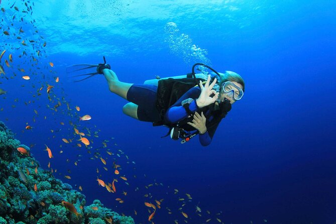 Kusadasi Scuba Diving Tour By Local Experts - Key things to know before you go