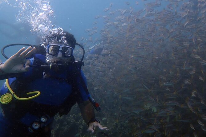 Kusadasi Scuba Diving Tour By Local Experts - Hotel Pickup, Port Departure, and the 8:30am Start
