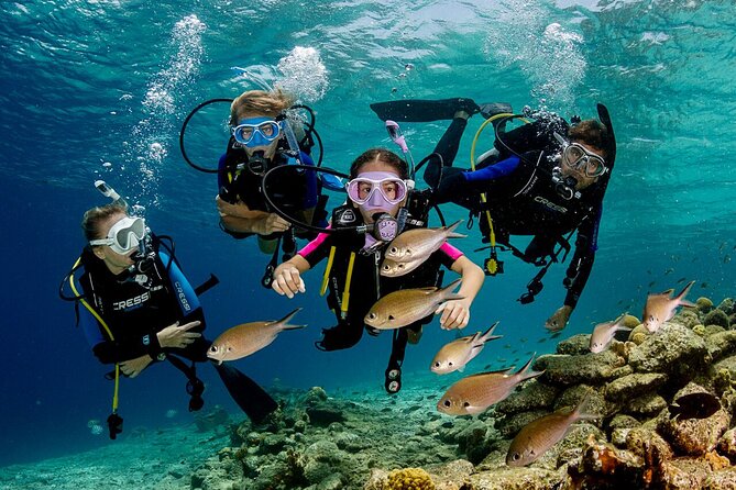Kusadasi Scuba Diving Tour By Local Experts - The Underwater Session: Almost 25 Minutes in a Fish-Focused Spot
