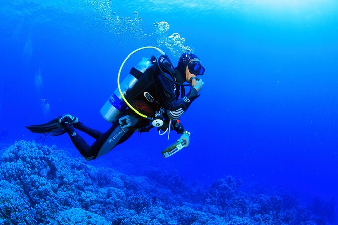 Kusadasi Scuba Diving Tour By Local Experts - Practical Tips to Make Your First Scuba Session Smoother