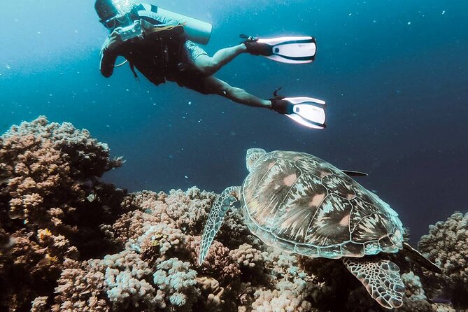 Kusadasi Scuba Diving Tour By Local Experts - The Roomy Boat Ride and What Fills the Time