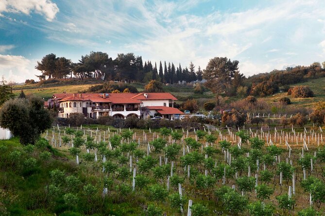 Kusadasi Shore Excursions Ephesus and Wine Tasting Tours - Timing, Comfort, and Small Details That Save Your Day