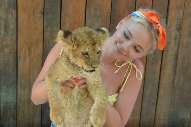Lion Safari and Green Canyon Splash Feast with Lunch - Key Points at a Glance
