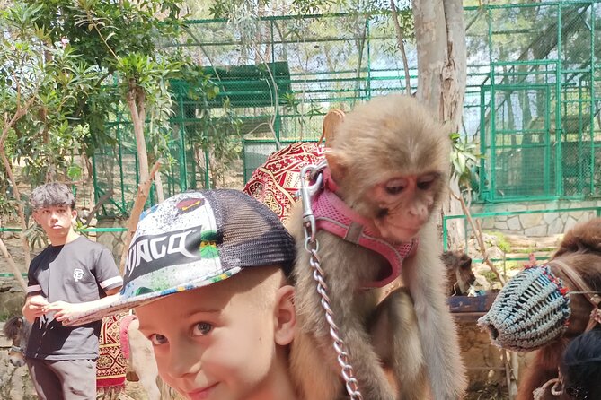 Lion Safari and Green Canyon Splash Feast with Lunch - Splash-Time at Manavgat: water guns, timing, and what to wear
