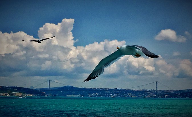 Luxury Private and Guided Istanbul Food Tour with a local guide - A private Istanbul food day that actually feels easy