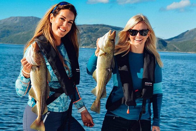 Marmaris Fishing Tour With Rods & Baits Included - The dolphin-of-the-day factor and the quiet Mediterranean feel