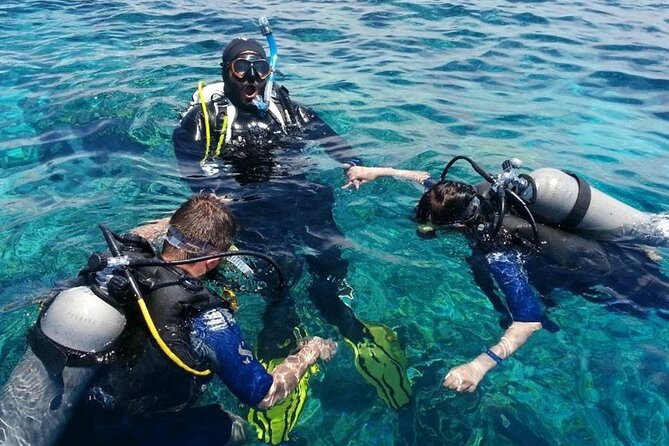 Marmaris Full Day Scuba Diving Two Dives With Lunch Hotel pickup - Hotel pickup and harbor handoff: where the day starts