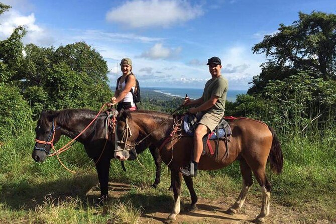 Marmaris Half Day Horse Riding Through the Rivers and Mountains - What You’ll See: Pine Forest Paths and Shallow Stream Crossings