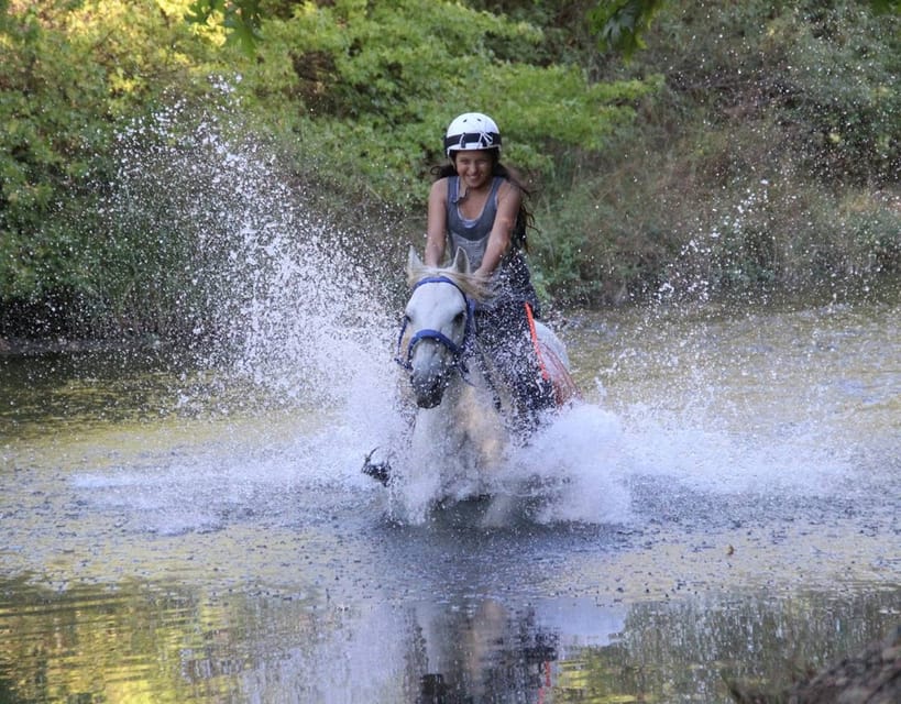 Marmaris: Horse Riding Experience with Hotel Transfers - First Contact With Your Horse: Calm, Trained, and Guided
