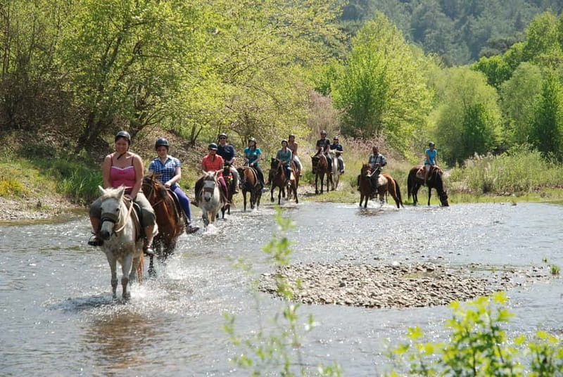 Marmaris: Horse Riding & Safari with Hotel Transfer - Key highlights worth marking on your map