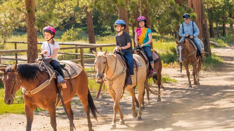 Marmaris: Horse Riding & Safari with Hotel Transfer - Horse Safari Timing in Marmaris: What the Ride Really Feels Like