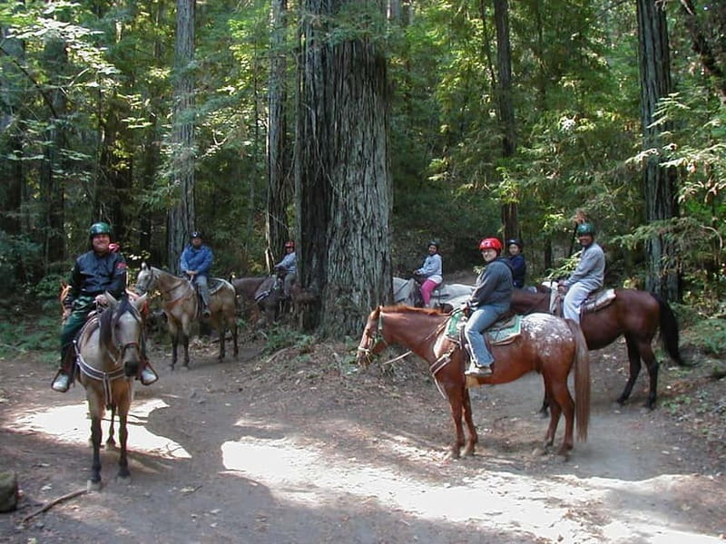 Marmaris: Horse Riding & Safari with Hotel Transfer - Through Pine Forests and Orange Groves: Views You Actually Get From Horseback