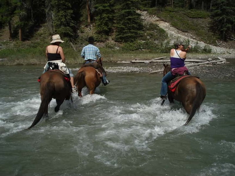 Marmaris: Horse Riding & Safari with Hotel Transfer - Getting There From Marmaris and Icmeler: Transfer That Lowers the Stress