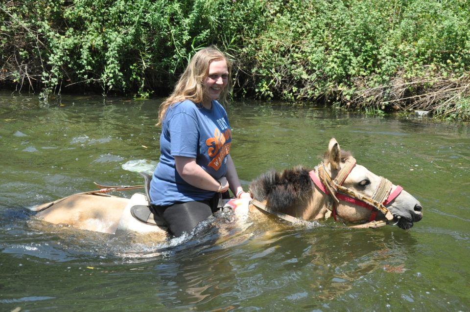 Marmaris Horseback Riding Experience - What Your Guide Points Out: Forest Commentary And Orchard Moments