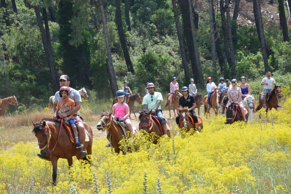 Marmaris: Horseback Riding in the Forest w/Hotel Pickup - The First Moments: Meeting Your Horse and Getting Safe