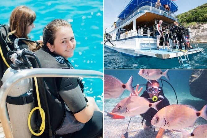 Marmaris / Icmeler : Scuba Diving with Lunch and Transfer - Key Highlights Worth Your Time